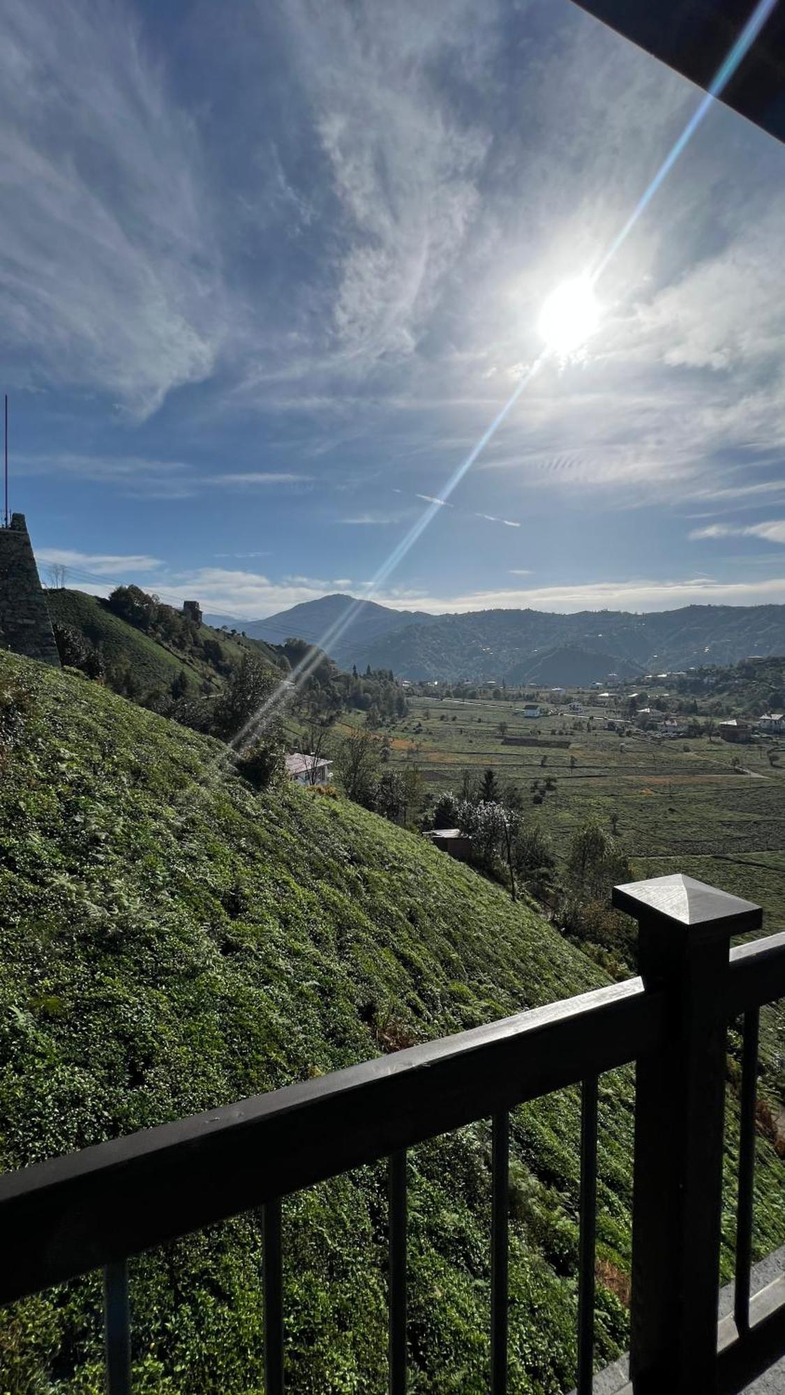 Meona Villa Bungalov Ardeşen 外观 照片